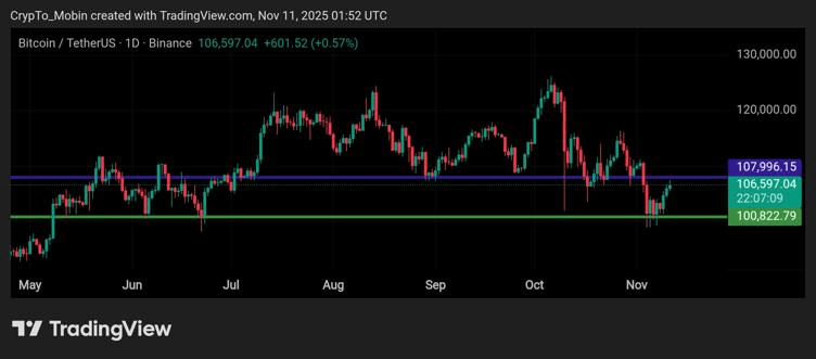 Top Crypto to Buy Now as Bitcoin (BTC) Hits $105,000