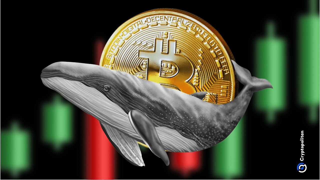 Bitcoin whale accumulation overhyped as onchain data shows continued distribution