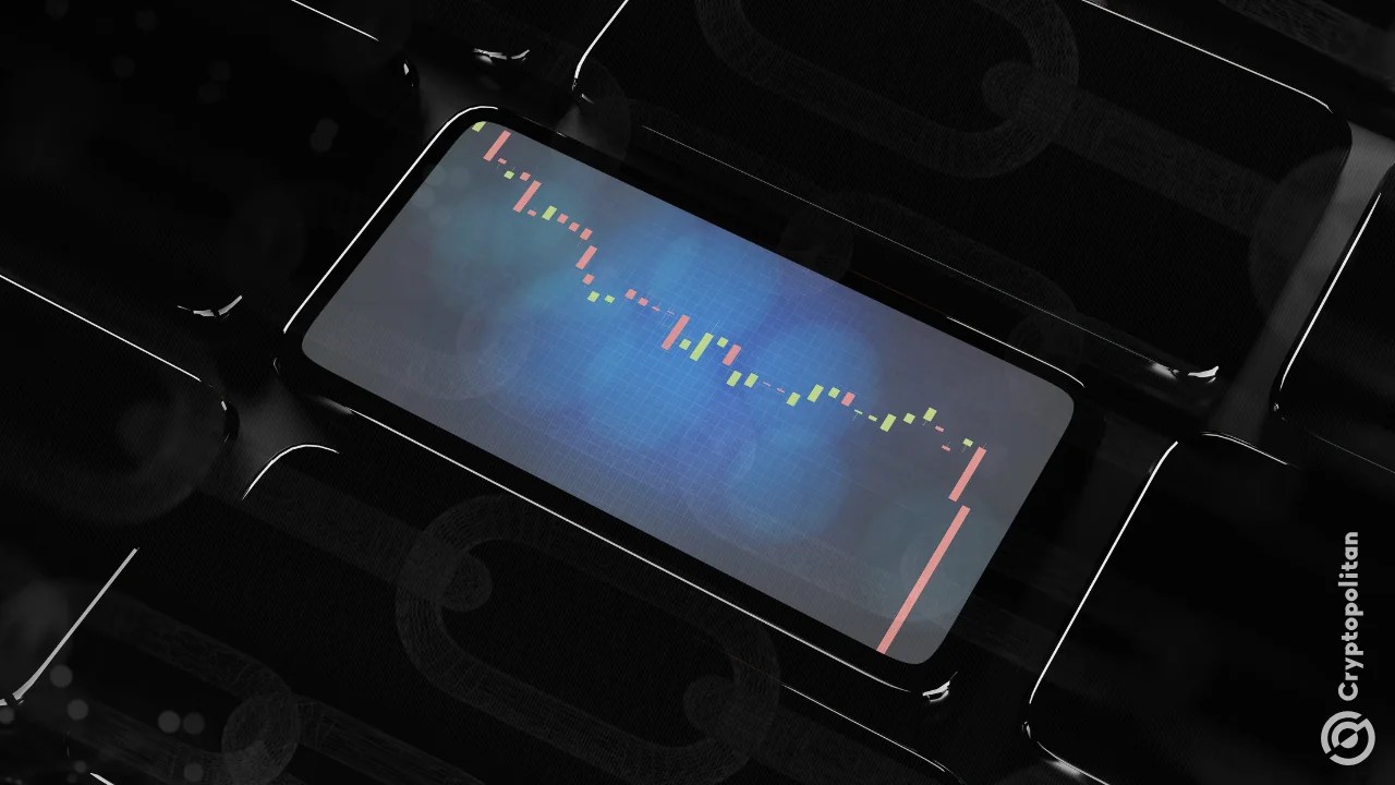 Crypto’s quietest year for Rug Pulls was also its most expensive