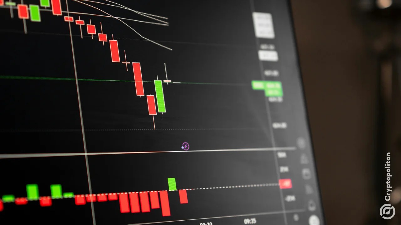BingX joins Binance and Bitget in push toward multi-asset crypto trading