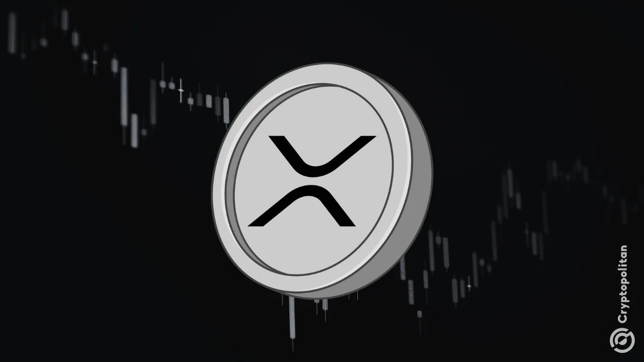 XRP recovers 12% in marketwide price rebound