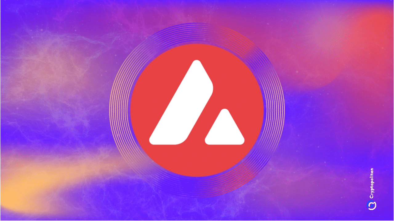 Avalanche names UK legislator in policy council as US, UK, Australia, Korea advance crypto legislation