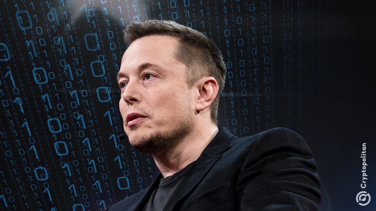 What are Elon Musk’s plans for xAI now after co-founder exits and SpaceX merger?