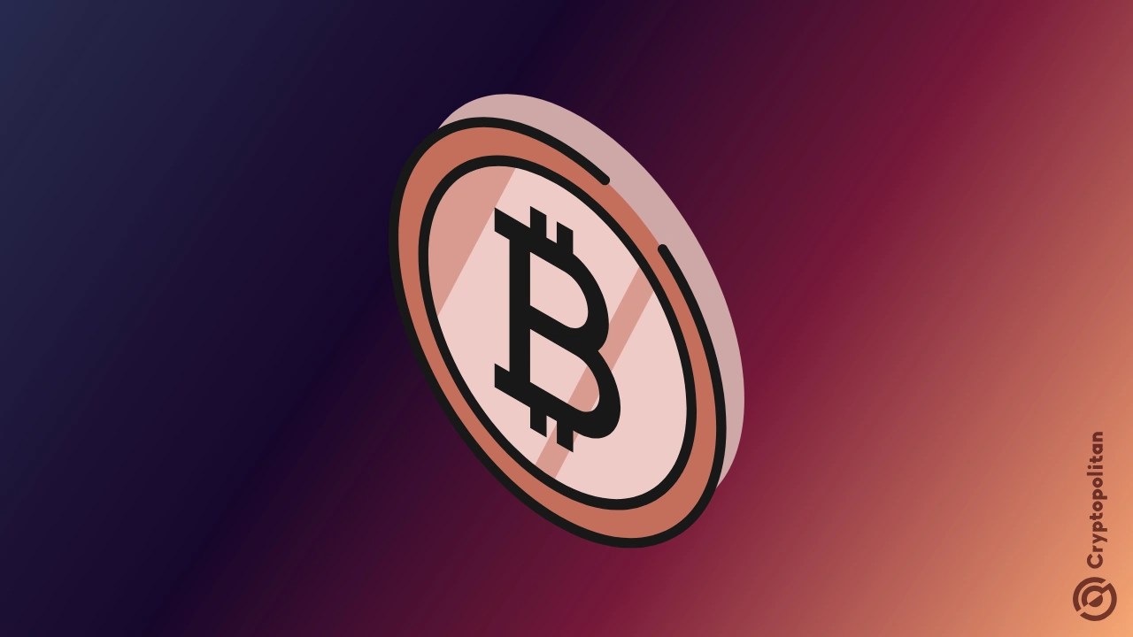 Bitcoin plunges 7% as experts split on whether worst is over