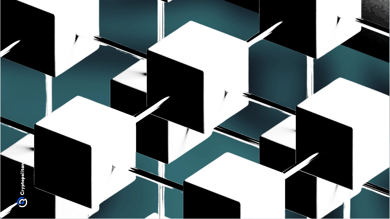 Arweave dismisses rumors that network stopped producing blocks for over 24 hours