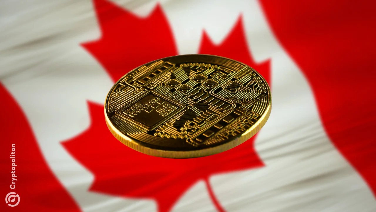 Crypto regulator rolls out new custody rules in Canada