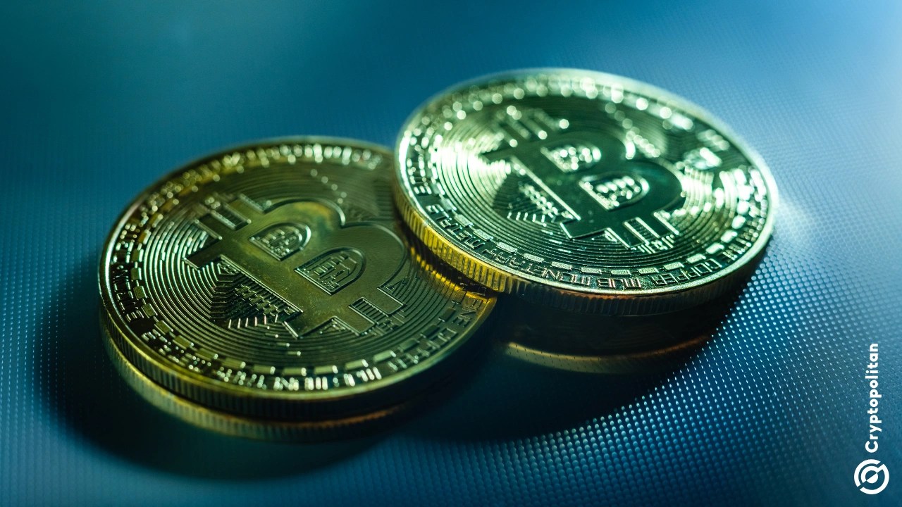 Is Bitcoin a safe haven or a risk asset? What investors think