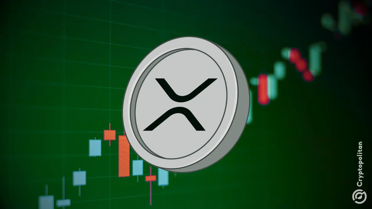 XRP transactions triple to 3M daily as investors question Ripple’s $50B valuation