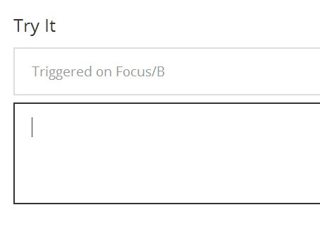Animated Text Filed Placeholder with Placeholdem.js | CSS Script