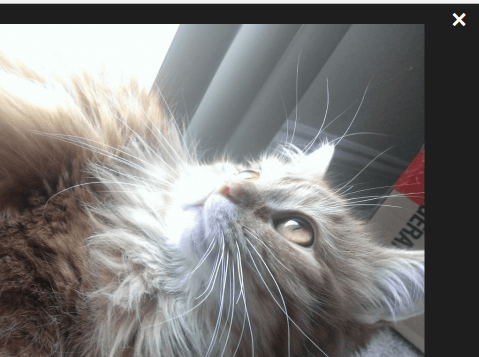 Basic Image Gallery & Lightbox Library - mlightbox.js | CSS Script