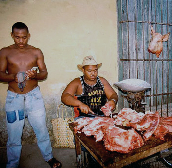 ¿Carroñeros o caníbales?