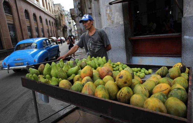 El trabajo por cuenta propia: en palacio, todo despacio