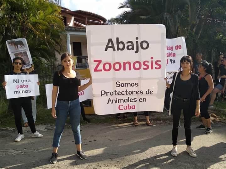 Protectores independientes protestan contra el maltrato animal en Cuba