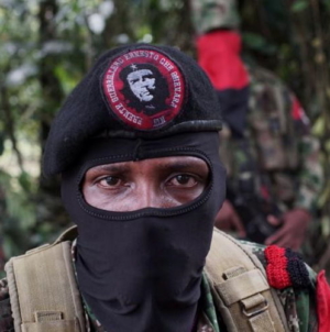 Caso ELN: el castrismo juega al despiste