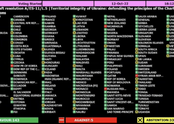 Régimen cubano, Cuba, ONU, Rusia, Ucrania