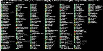 Régimen cubano, Cuba, ONU, Rusia, Ucrania