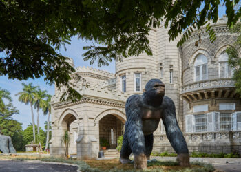 Leyendas y realidades sobre “la finca de los monos” en La Habana