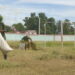 De campo de fútbol a yerbazal: así luce una popular cancha en Guantánamo