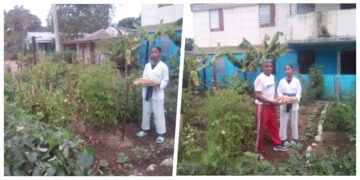 Cinco tomates y un mazo de cebollas es el premio del régimen cubano para una taekwondoca