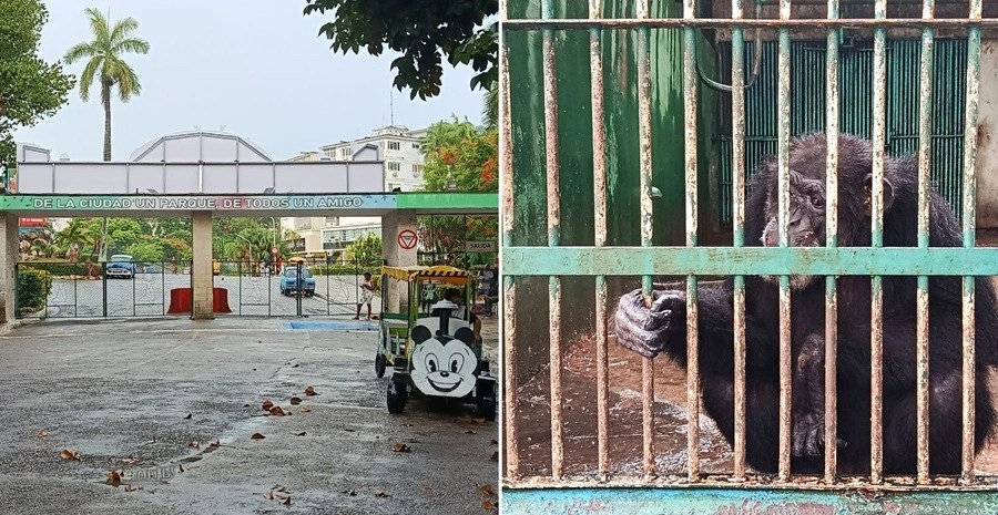 zoológico, La Habana