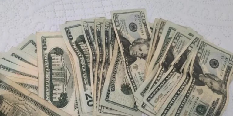 Dólares estadounidenses