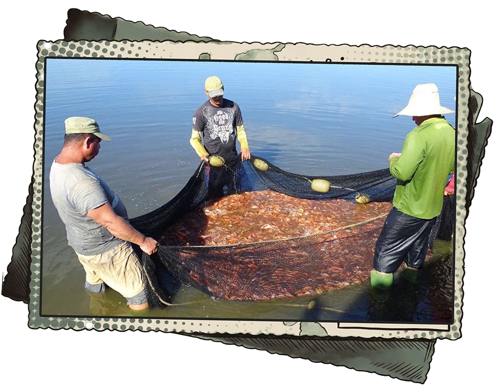 Pesca en Cuba