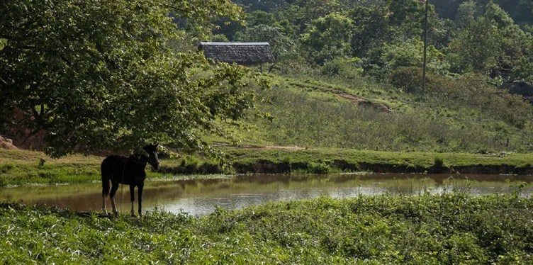 usufructo, Cuba, gobierno cubano