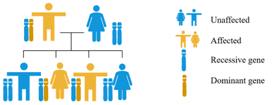 05/04/2018 · genetics of huntington’s disease gene coding is made of a sequence of nucleic acids, which are molecules on our dna that code for the proteins that our bodies need for … The Rare Disease Huntington S Disease