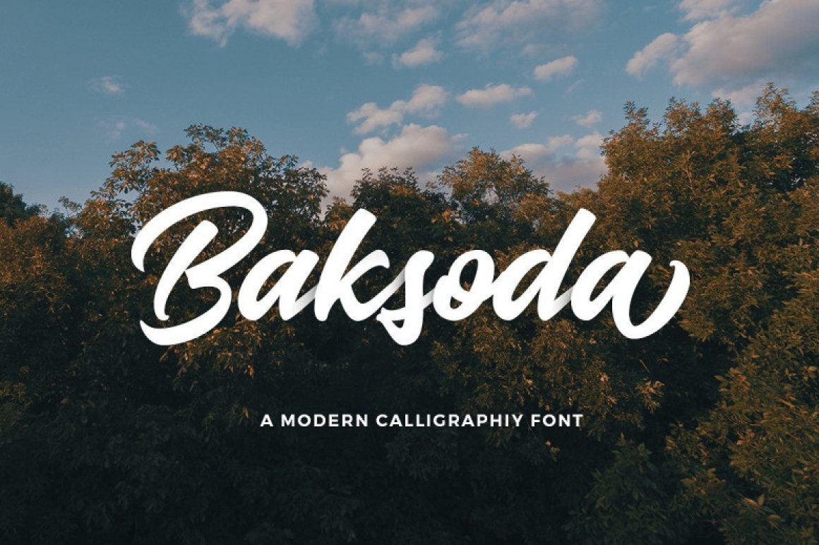 Baksoda Script Font Free Dafont Free