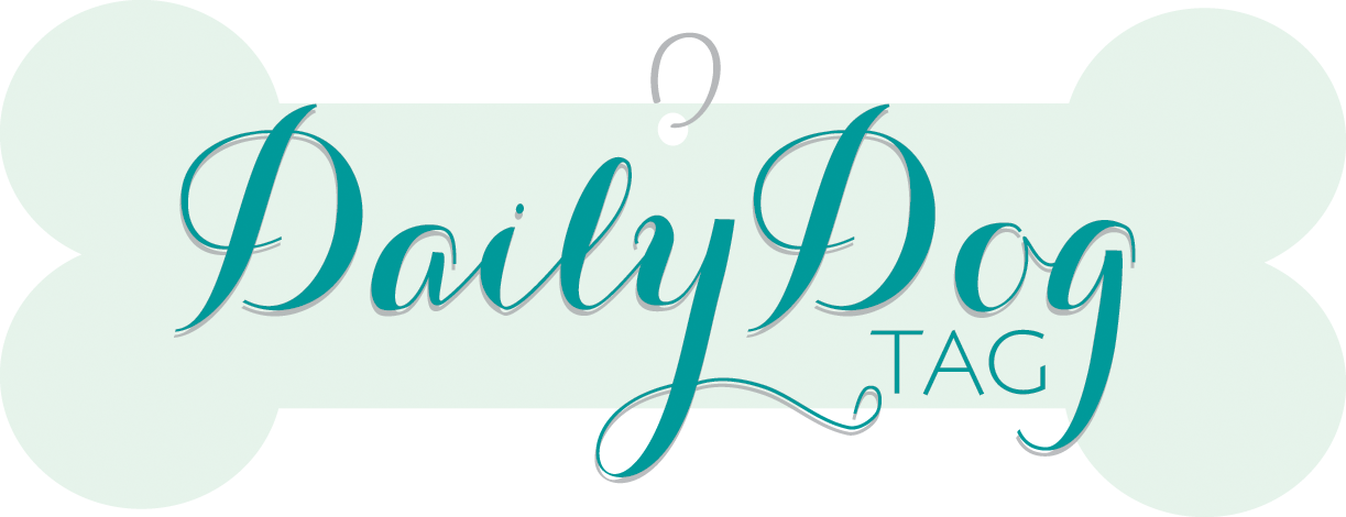 Diy Treat Dispenser Daily Dog Tag