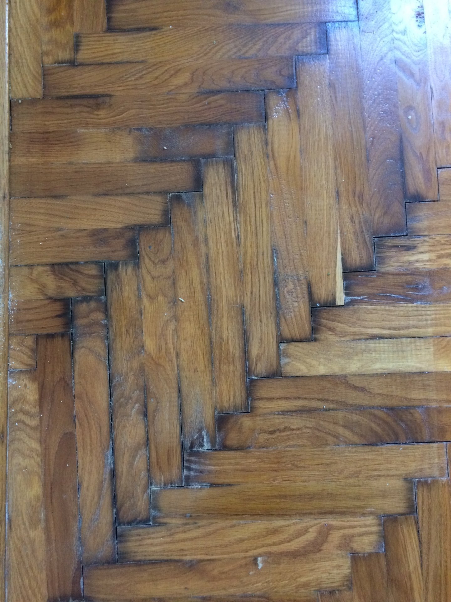 14+ Best Schimmel Im Haus Symptome - Schimmel am Fenster | selbst.de : Ende die typischen symptome allergischer.