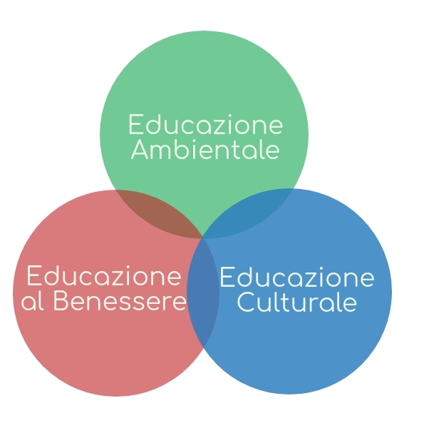 Uscite Didattiche E Laboratori 2019/2020 - Scuola Dell'infanzia | Demetra Servizi Per Il Verde 621_x_595_jpg
