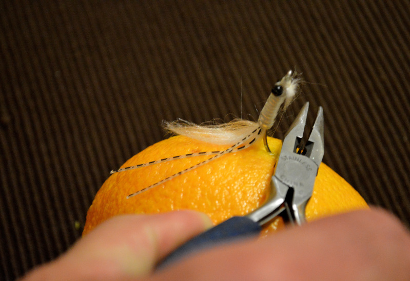 Removing a Fish Hook How to Safely Remove a Fish Hook From Your Skin