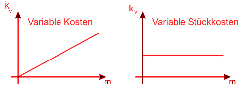 Fixe Und Variable Kosten Der Dualstudent
