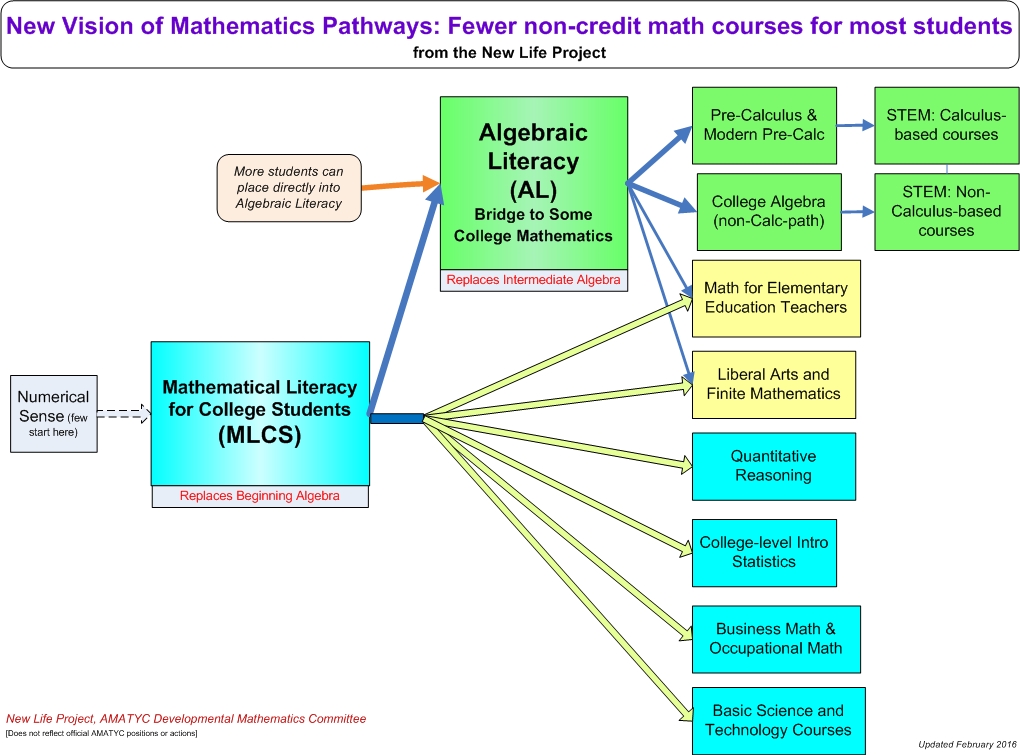 Developmental Mathematics Revival New Life Project - 