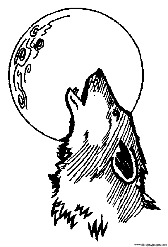 Cara De Un Lobo Para Dibujar Imagui