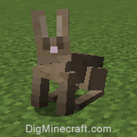Nbt Tags For Rabbit In Minecraft Java Edition 1 16 1 17