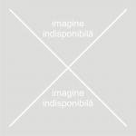 Editura AdevÄr Divin Catalog Autori Radu Cinamar