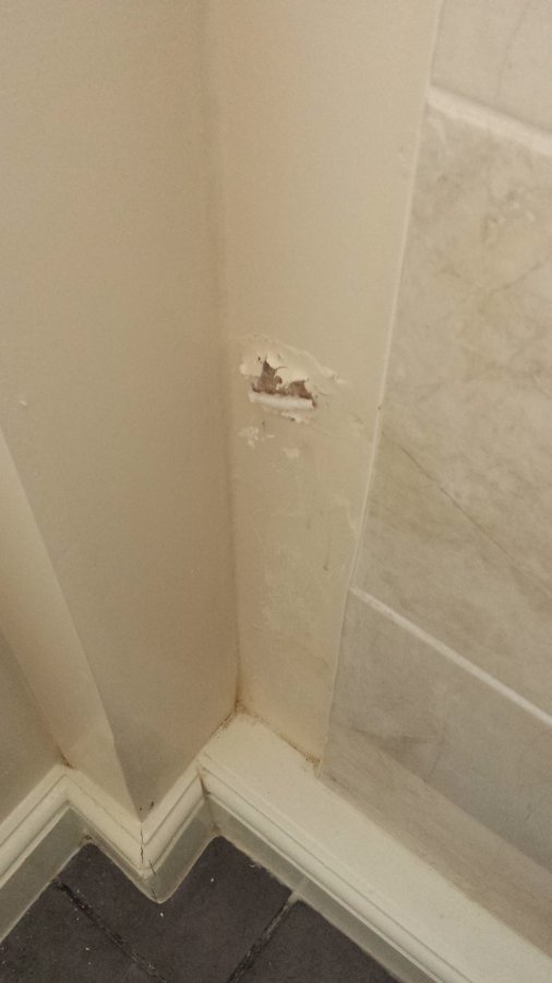 We painted our bathroom a few months ago and are already notici. Peeling emulsion paint | DIYnot Forums