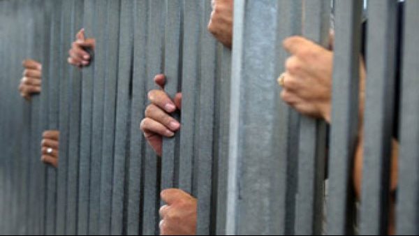 حبس متهمين استوليا على بطاقات الدفع الإلكترونى من المواطنين بالمنيا حبس متهمين استوليا على بطاقات الدفع الإلكترونى من المواطنين بالمنيا