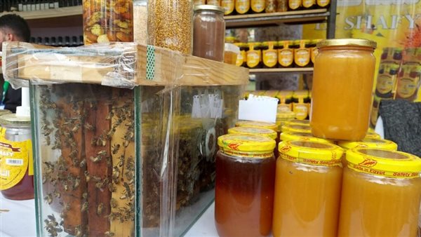 الزراعة تُحذر من صفحات مزيفة على فيسبوك تدّعي بيع منتجاته