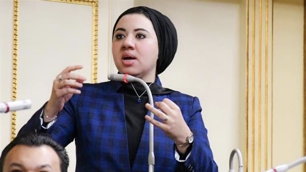 أميرة صابر: الحضانة المشتركة تجربة دولية ناجحة يجب تطبيقها بما يحقق مصلحة الطفل أميرة صابر: الحضانة المشتركة تجربة دولية ناجحة يجب تطبيقها بما يحقق مصلحة الطفل