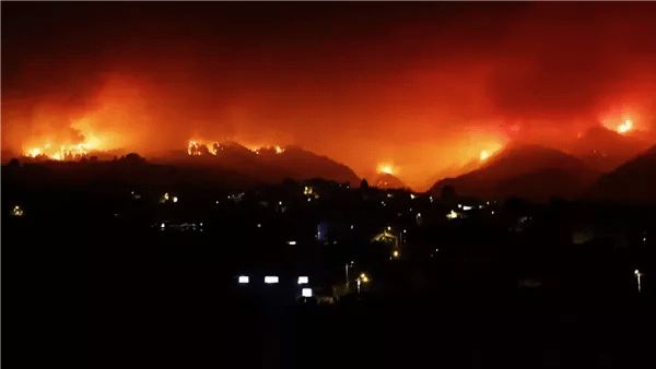 12 قتيلًا جراء حرائق غابات بعدة ولايات جزائرية