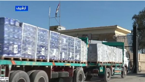 محللة أمريكية: الدعوات المشبوهة للتظاهر أمام السفارات المصرية انحراف خطير