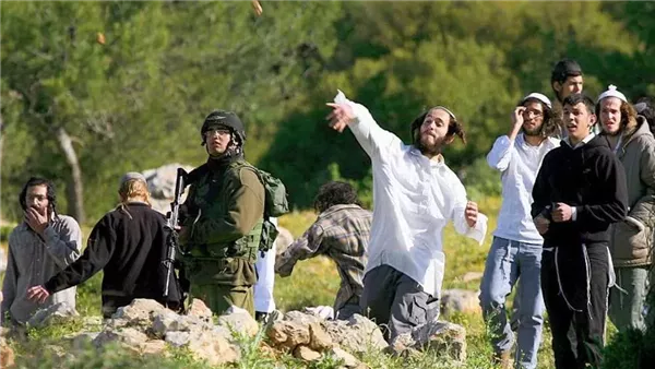 قبل قطف الزيتون.. مستوطنون يحرقون 3 مركبات في الضفة الغربية لمهاجمة المزارعين قبل قطف الزيتون.. مستوطنون يحرقون 3 مركبات في الضفة الغربية لمهاجمة المزارعين