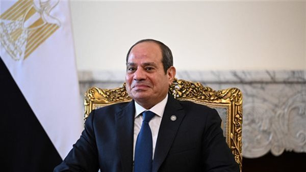 نائب بـالشيوخ: زيارات الرئيس السيسي لدول الخليج تحمل دلالات سياسية عميقة