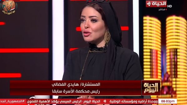 هل ينهي صندوق دعم الأسرة أزمة النفقة المتأخرة؟.. هايدي الفضالي توضح (فيديو)