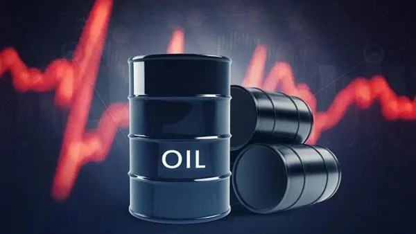 النفط يقفز 1.36%.. وخام برنت يقترب من 73 دولارًا النفط يقفز 1.36%.. وخام برنت يقترب من 73 دولارًا