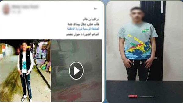 القبض على متهم بضرب عامل بـمفك داخل مطعم في المنوفية القبض على متهم بضرب عامل بـمفك داخل مطعم في المنوفية