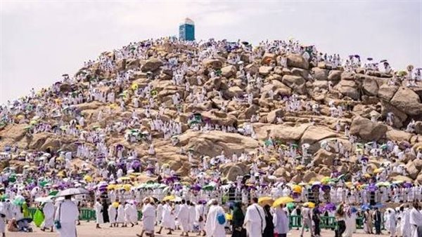 اللهم لبيك.. أعظم المشاهد الإيمانية ولحظات لا تُنسى في صعيد عرفات